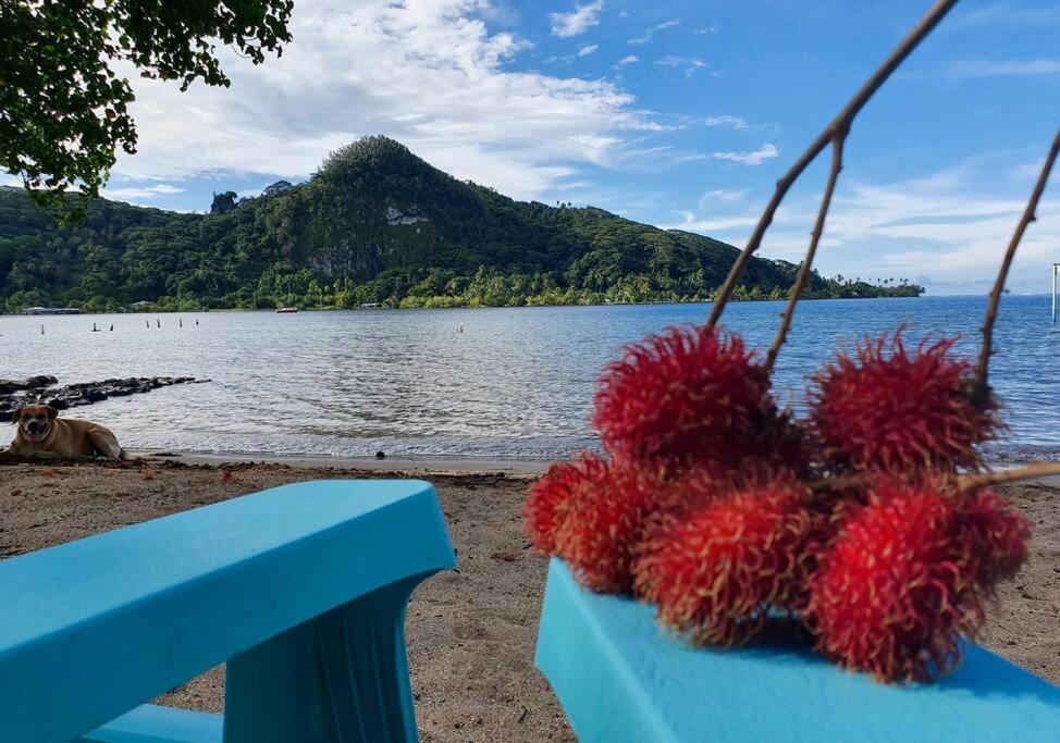 Raiatea, Opoa, Fare Reve, Bord De Mer Villa Exterior photo